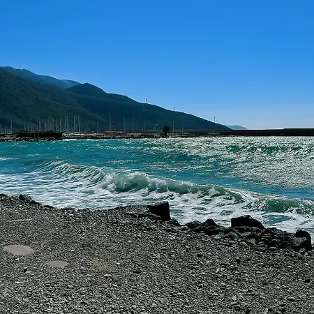 אתר קמפינג Nest