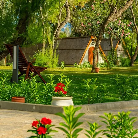 אתר קמפינג Nest *